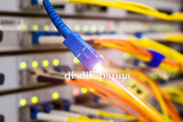 Panduan Lengkap Memilih Fiber Optic untuk Infrastruktur Perusahaan